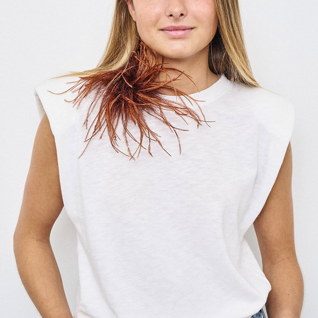 COPIA BROSCHE Marone